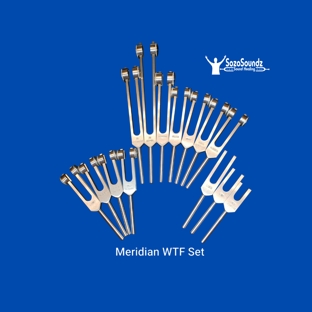 Meridians Tuning Fork Set of 14 - SozoSoundz Tuning Forks