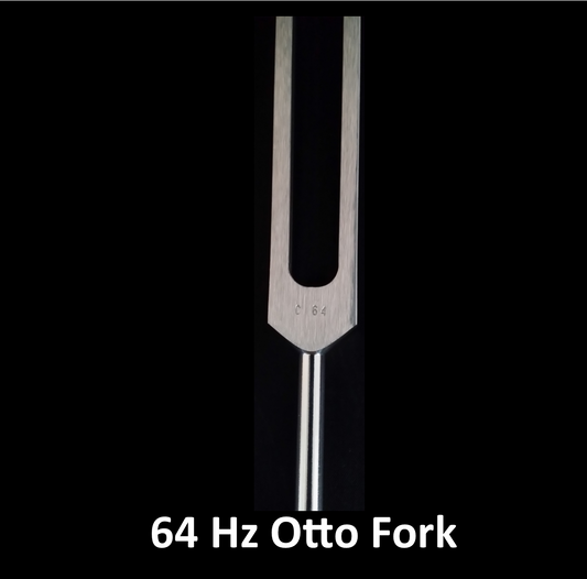 Evolution of the Tuning fork