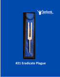 #21 Eradicate Plague from 72 Names of God