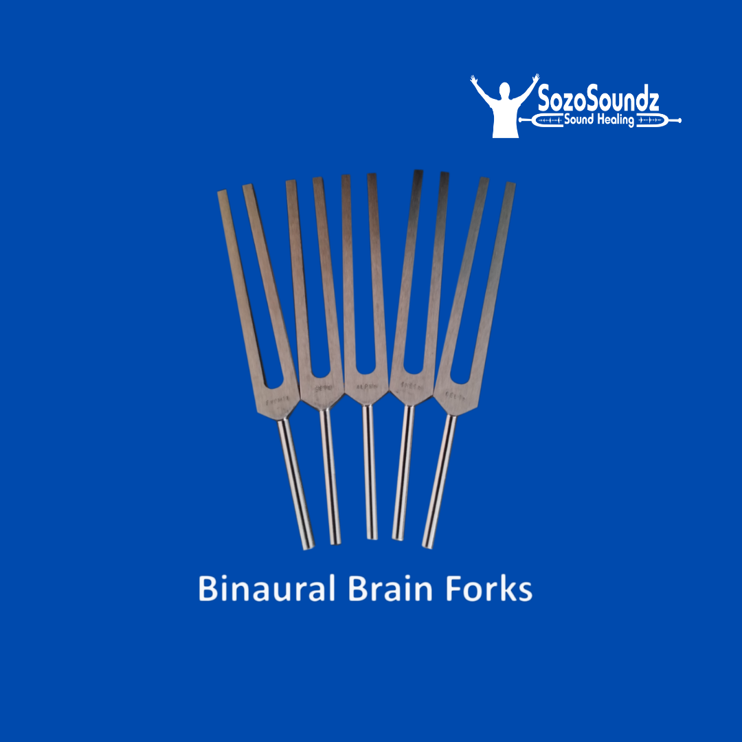 Binaural Brain Tuning Forks UWT set of 5 - SozoSoundz Tuning Forks