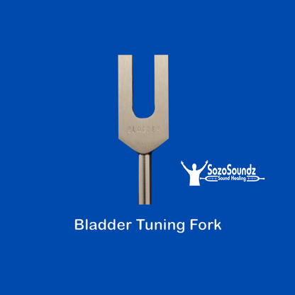 Bladder Tuning Fork - SozoSoundz Tuning Forks