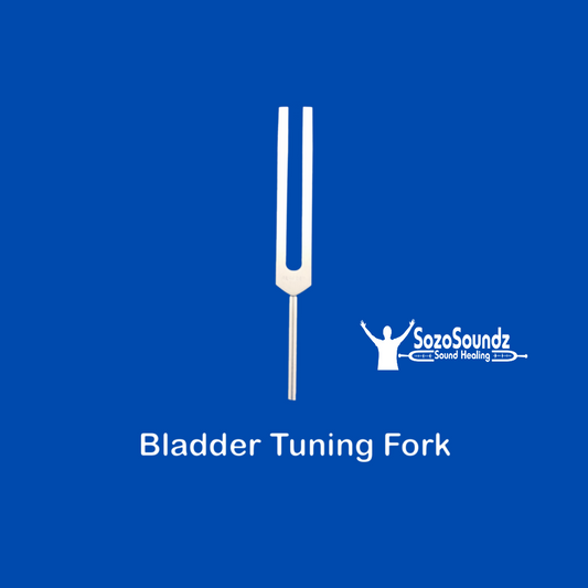 Bladder Tuning Fork - SozoSoundz Tuning Forks