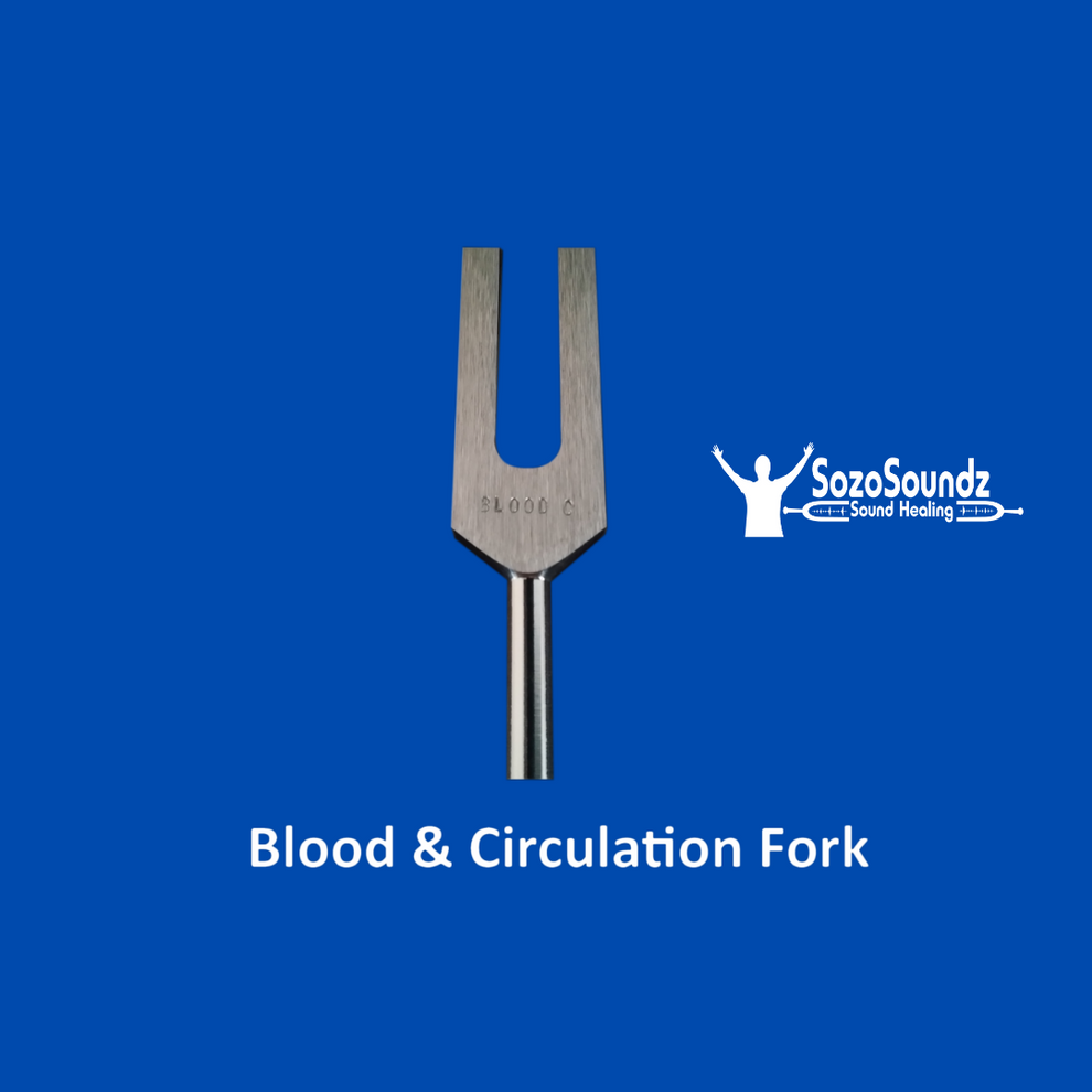 Blood Flow and Circulation Fork Shop Blood Flow & Circulation Fork