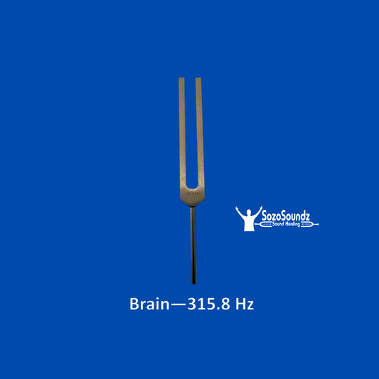 Brain Tuning Fork - SozoSoundz Tuning Forks