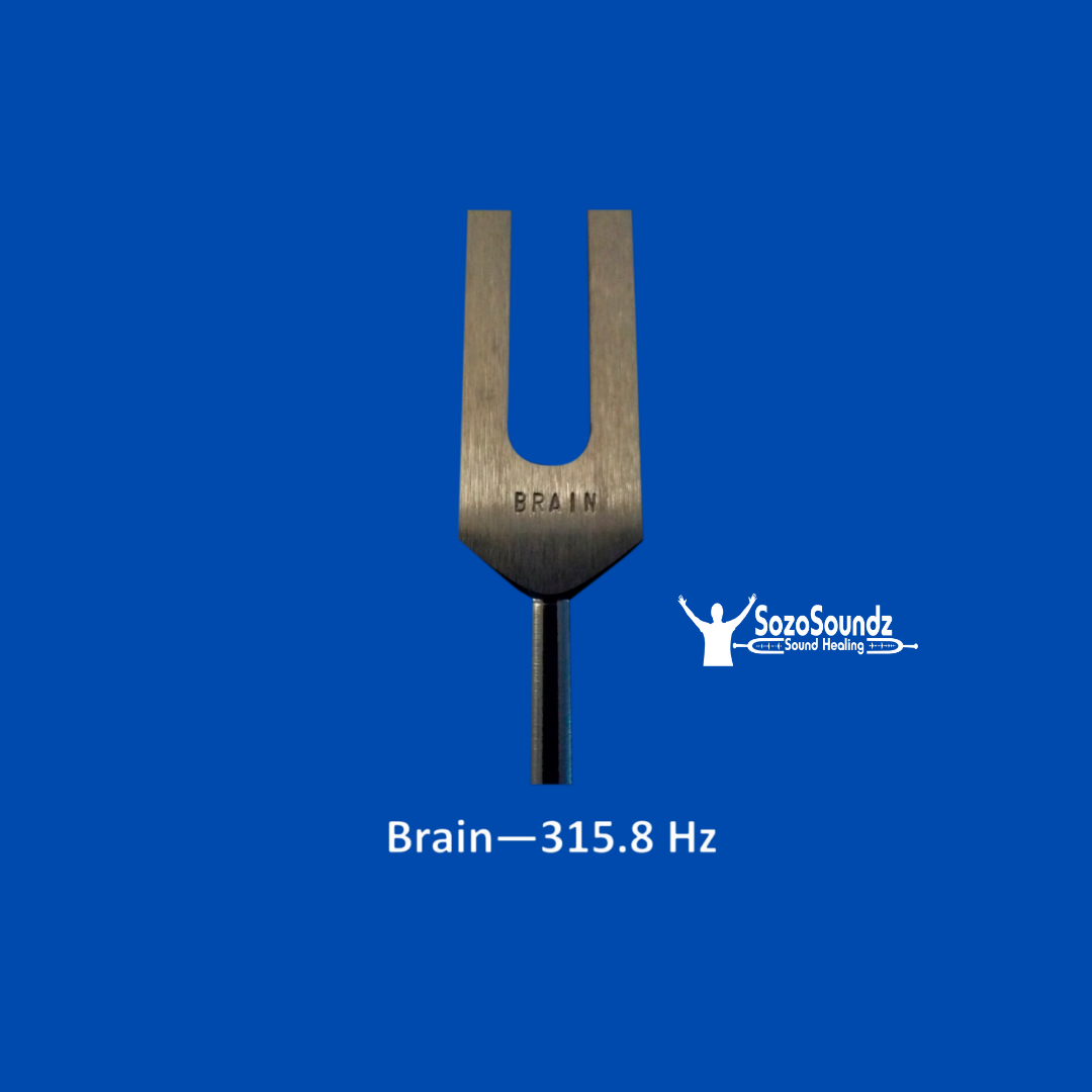 Brain Tuning Fork - SozoSoundz Tuning Forks