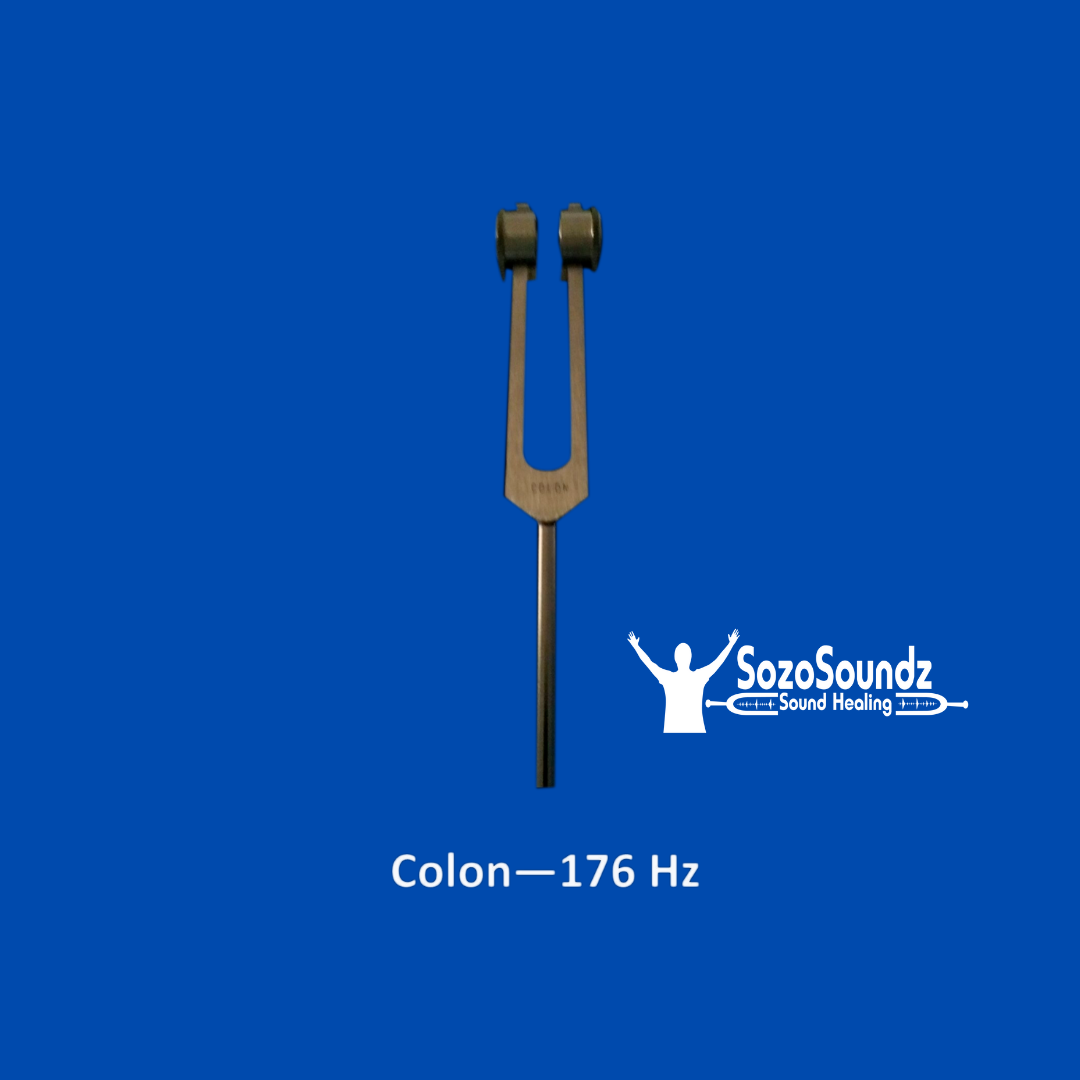 Colon Tuning Fork - SozoSoundz Tuning Forks
