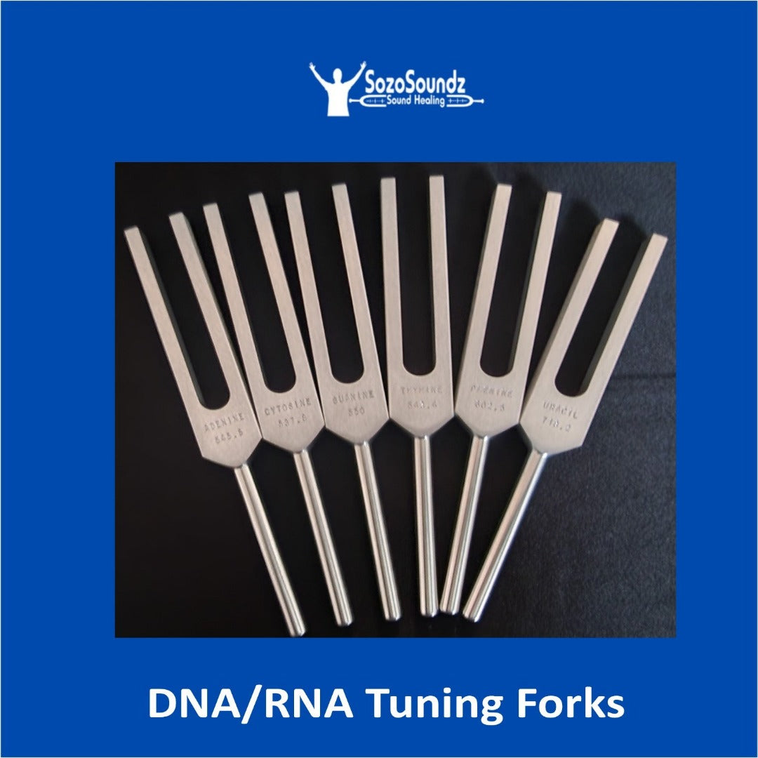 DNA/RNA Tuning FORK set of 6