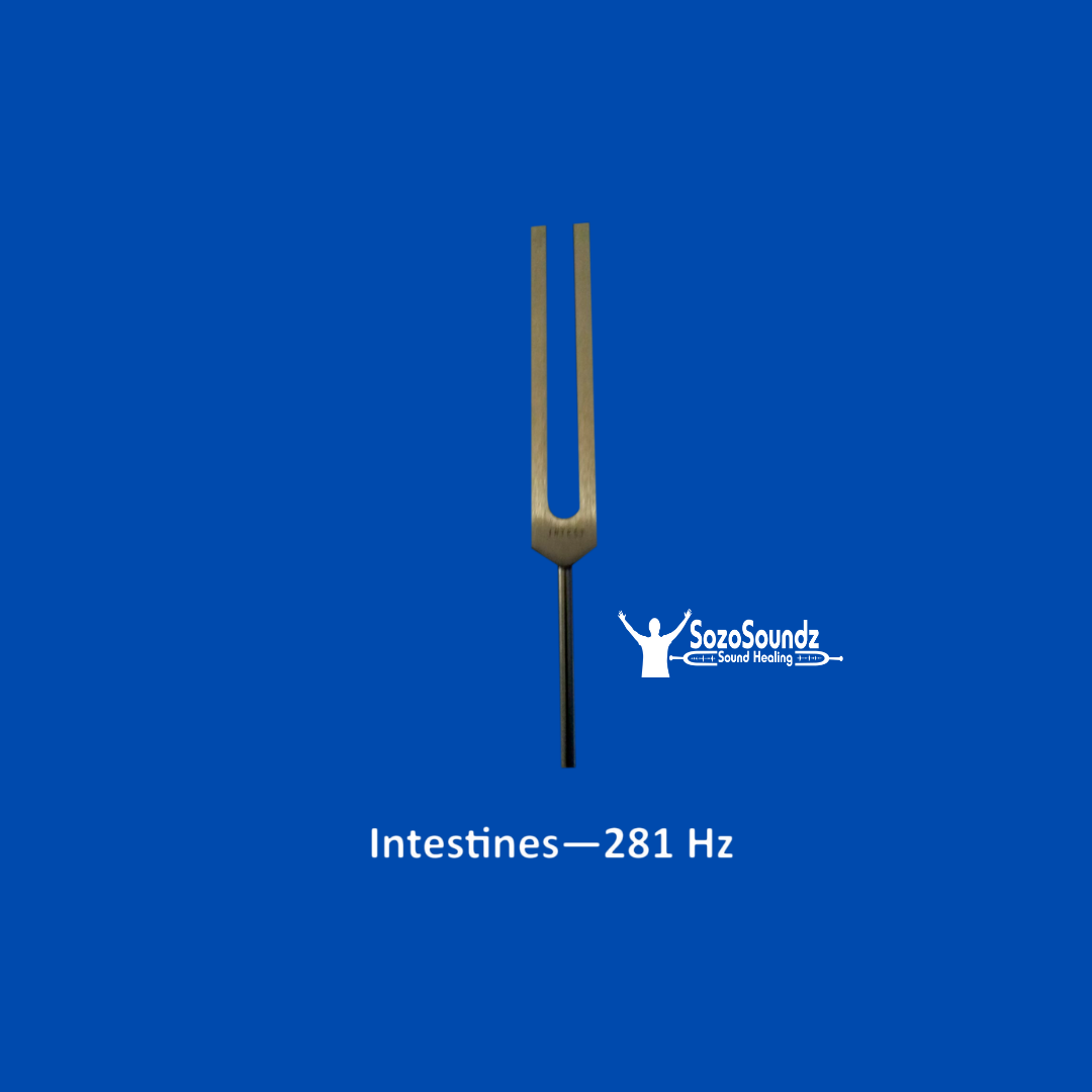 Intestines Tuning Fork - SozoSoundz Tuning Forks