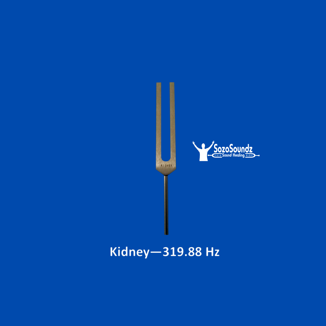 Kidney Tuning Fork - SozoSoundz Tuning Forks