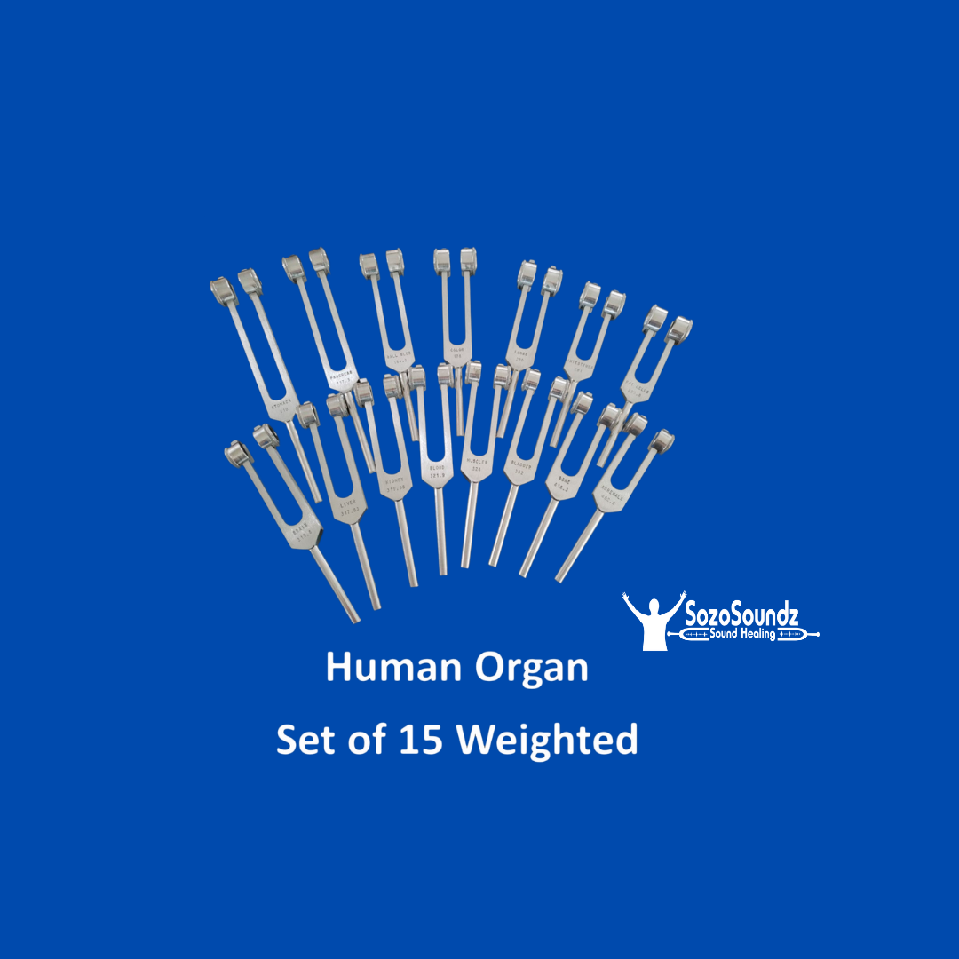 Human Organ Tuning Forks Set of 15 - SozoSoundz Tuning Forks