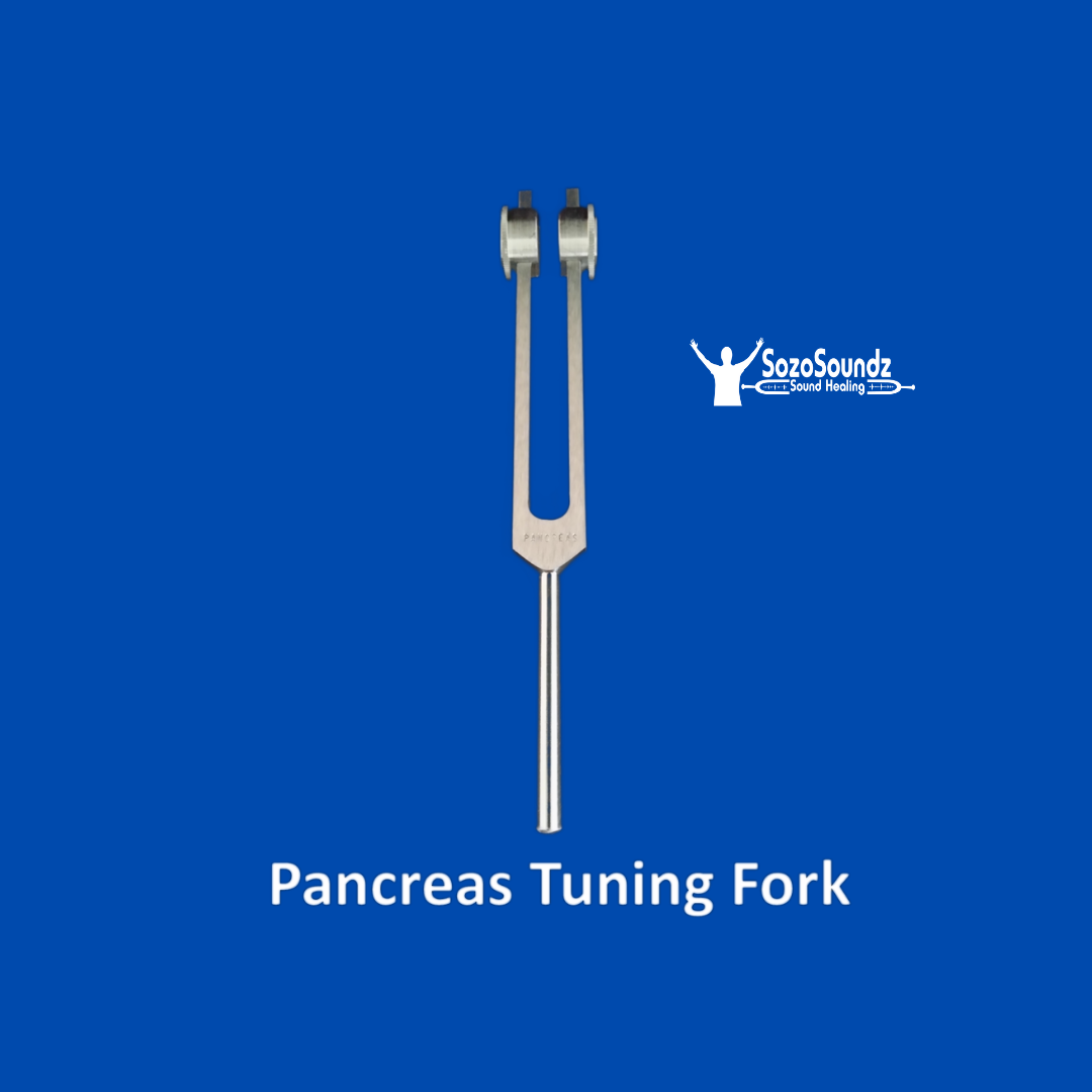 Pancreas 117.3 Hz Tuning Fork - SozoSoundz Tuning Forks