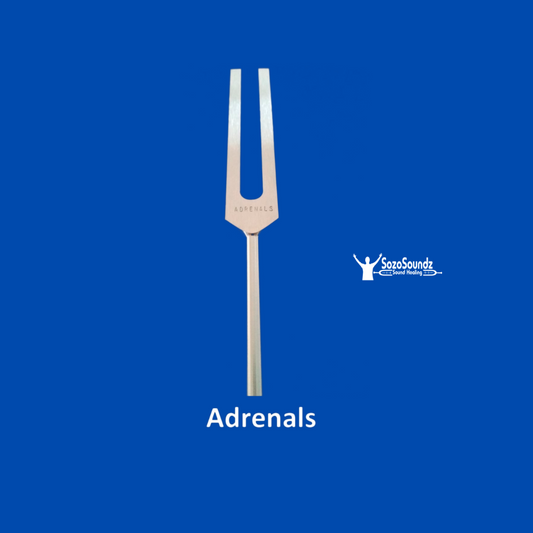 Adrenal, Thyroid, and Parathyroid Tuning Fork - SozoSoundz Tuning Forks