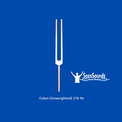 Colon Tuning Fork - SozoSoundz Tuning Forks