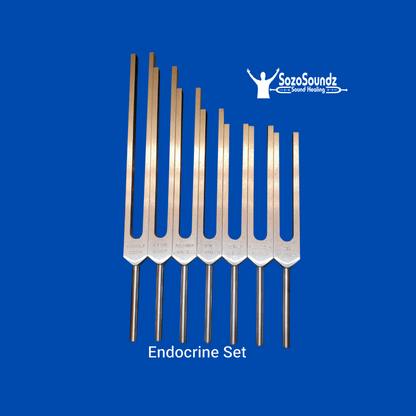 Endocrine & Spine Set of 7 Tuning Forks - SozoSoundz Tuning Forks