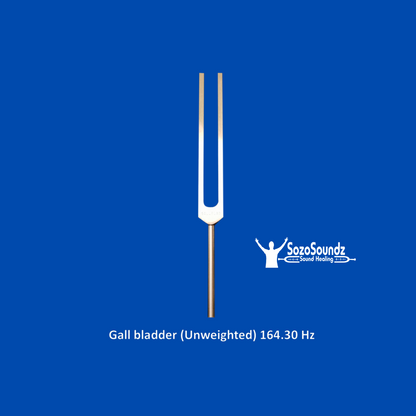 Gall Bladder Tuning Fork - SozoSoundz Tuning Forks