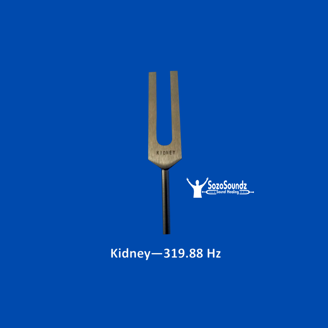 Kidney Tuning Fork - SozoSoundz Tuning Forks