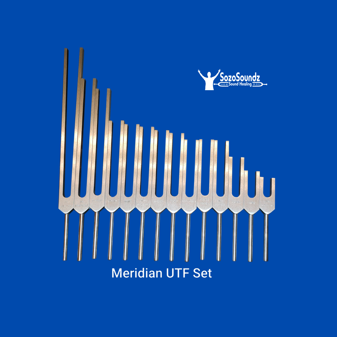 Meridians Tuning Fork Set of 14 - SozoSoundz Tuning Forks