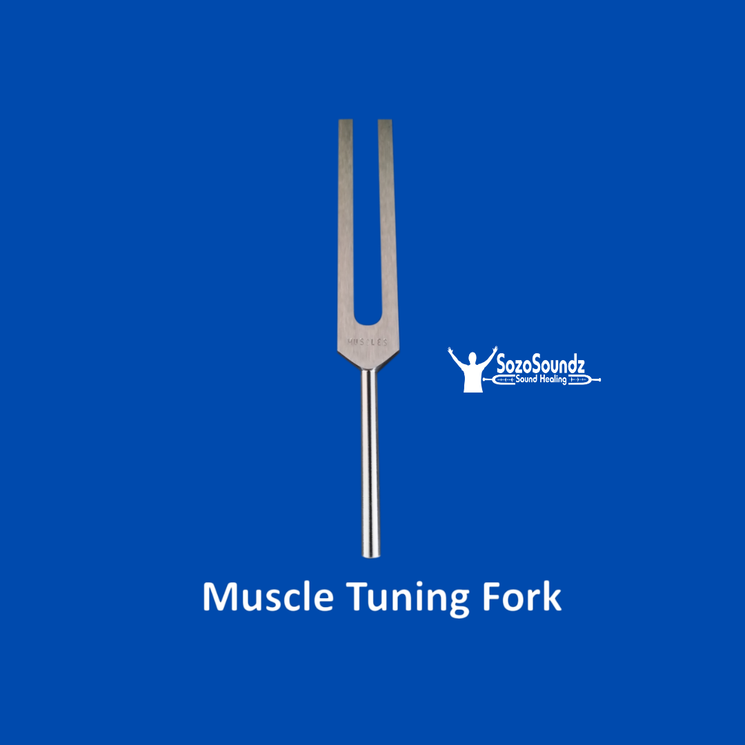 Muscle Tuning Fork - SozoSoundz Tuning Forks