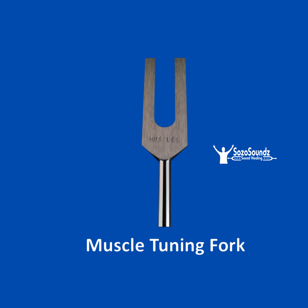 Muscle Tuning Fork - SozoSoundz Tuning Forks