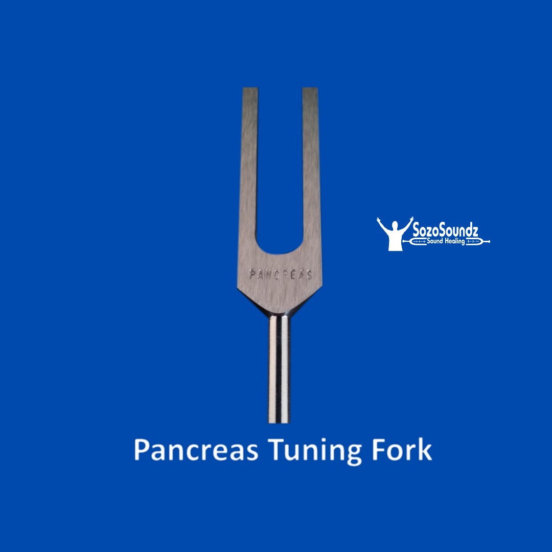 Pancreas 117.3 Hz Tuning Fork - SozoSoundz Tuning Forks
