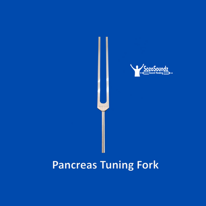 Pancreas 117.3 Hz Tuning Fork - SozoSoundz Tuning Forks