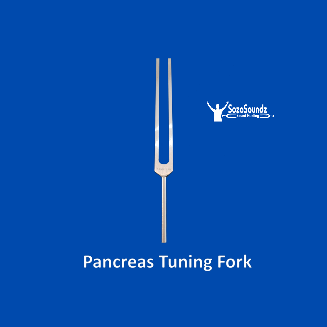 Pancreas 117.3 Hz Tuning Fork - SozoSoundz Tuning Forks