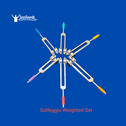 Solfeggio Weighted Body Tuning Forks- Set of 6 - SozoSoundz Tuning Forks