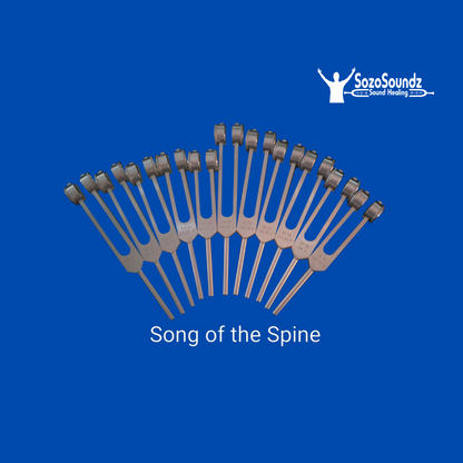 Song of the Spine Set of 12 Tuning Forks - SozoSoundz Tuning Forks