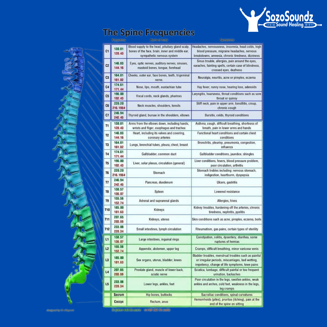 Song of the Spine Set of 12 Tuning Forks - SozoSoundz Tuning Forks